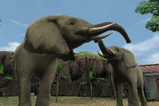 3DSの中で生き生きと動き回る動物たちを目撃『アニマルリゾート 動物園をつくろう!!』 画像