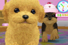 ペット育成シミュレーション最新作『かわいい仔犬3D』12月15日発売決定 画像