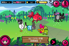 稲船敬二氏プロテュースによる初のスマフォ向けソーシャルアプリ『Dr★モモの島』配信開始 画像