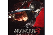 Team Ninjaの早矢仕洋介氏、Wii Uでの計画について示唆 画像