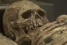 ロンドンの工事現場にて、身長2m超の未知なる生物の骨が発見される 画像