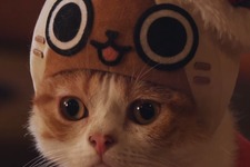 サンタなアイルーに扮した猫が！WEB限定『モンハン』CMが超キュート 画像