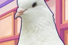 PS4/PS Vita『はーとふる彼氏 / Holiday Star』日本でも配信開始！鳥と恋するADV 画像
