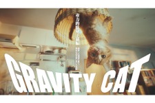 重力猫のかわいらしさが世界でも高評価！？『GRAVITY DAZE 2』のCM「GRAVITY CAT」が国際広告賞でグランプリを獲得 画像