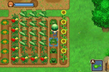 3DS『牧場物語』シリーズをお得に購入できる「秋の収穫祭セール」が開催！ほのぼの牧場生活を始めてみませんか？ 画像