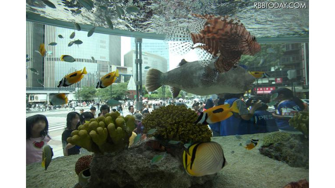 Sony Aquarium Sony Aquarium