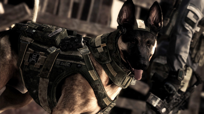 海外ではCoDDOGとして人気沸騰中の軍用犬