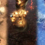 【G-STAR 2014】今話題のハクスラ系MMORPG『LOST ARK』がとにかく壮大！その一部を19分の映像で