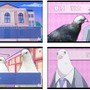 PS4/PS Vita『はーとふる彼氏 / Holiday Star』日本でも配信開始！鳥と恋するADV