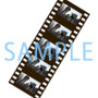 『STEINS;GATE ELITE』「完全受注生産限定版」が発売決定－各初回特典には本編映像特製フィルムを追加！