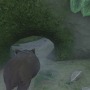 【吉田輝和の絵日記】オオカミADV『ロスト・エンバー』色んな動物に乗り移って地中・水中・空中を大冒険！
