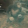 【吉田輝和の絵日記】オープンワールドサバイバル『アンセスターズ:人類の旅』お猿さんから人への進化の旅路