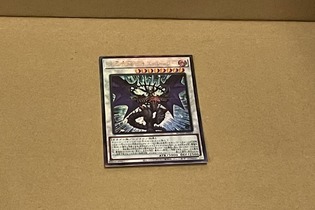 サロメ嬢の決闘魂を射止めた「混沌魔龍 カオス・ルーラー」とは？Twitterでトレンド入りしたカードを解説！ 画像