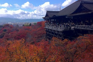 【日々気まぐレポ】第6回 ニンテンドー3DSカメラで立体紅葉写真 in 京都 画像