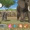 Wiiで動物たちと触れ合う癒し系ゲーム『Animal Life～動物ふれあい生活～』9月15日配信開始！ 画像