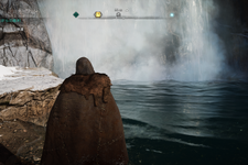 90％以上のゲーマーが「滝」を見たらその裏側に行きたがる―もしかして本能？ 画像