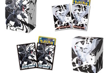 『ポケカ』6月6日発売の「周辺グッズ」にゼクロム、レシラムが登場！ブラック・ホワイトの対比がカッコイイ 画像