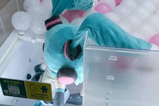 「そんなに嫌ですか？」 クレーンゲーム中の“拒絶ミクさん”に爆笑　絶妙な体勢で出口を拒む姿が話題に