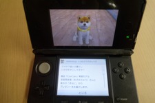 『nintendogs + cats』安座間美優さんの柴犬「きなこ」が配信開始 画像