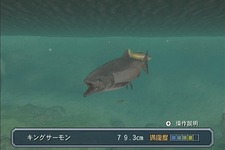 釣りを楽しむ癒しの空間がここに『フィッシュアイズWii』PV動画 画像