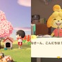 『あつまれ どうぶつの森』の謎に迫る─二足歩行するイヌと、ふつうの犬が存在しているらしいのはなぜ？