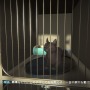 居場所を奪われたネコがオーストラリアの街をさまよう愛と孤独のADV『Copycat』Steamでデモ版を配信