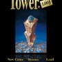 The Tower for iPad