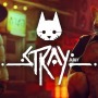 サイバーパンク猫ADVスイッチ向け『Stray』パッケージ版11月19日発売！通常版/コレクターズエディション予約開始