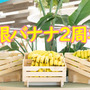 これまでに消費したバナナの数は約73,000本！？コロプラ独自の福利厚生制度「無限バナナ」が2周年を迎える