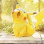 『ポケカ』イラストコンテストの最終審査結果発表！“ポケモンの魅力的な瞬間”をテーマに24作品が賞に輝く