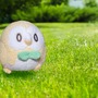 エッホ エッホ『ポケモン』公式が“あのミーム”に乗っかる、モクローの可愛い画像とともに投稿―「公式がネタにしたって伝えてあげなきゃ」