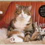 世界を魅了した「すべりこむ猫」まるちゃん　癒やし満載の2026年版カレンダーが登場！