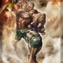 STREET FIGHTER X 鉄拳