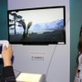 【E3 2011】Wii Uで味わう日本の四季『Japanese Garden』ムービー 