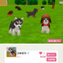 子犬と一緒に暮らすソーシャルペットゲーム『どこでもペット かわいい子犬』 