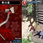 NINJA GAIDEN: Dragon Sword