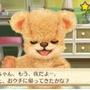 3DS『クマ・トモ』クマと友情を深めるゲーム ― プレイヤーのことを覚えて会話が広がる