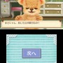 3DS『クマ・トモ』クマと友情を深めるゲーム ― プレイヤーのことを覚えて会話が広がる