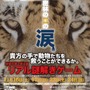 「夜の動物園と密林の王の涙 at よこはま動物園ズーラシア」