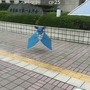 【レポート】『ポケモンGO』西新宿でピカチュウやレアコイルをゲット！雨の中、公園には早くもトレーナーの姿が