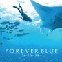 「Wii」発売10周年！名作『FOREVER BLUE』に思いを馳せる