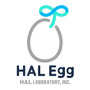 ハル研究所が新ブランド「HAL Egg」を立ち上げ―新規キャラクターによるゲームアプリを開発中