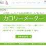 『Wii Fit』のトレーニングをカロリーに変換―「カロリーメーター」公開