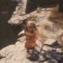 『SEKIRO』あなたが一番愛用している義手忍具は？─手強いボスの攻略にも欠かせない、“一押し”忍具のご意見募集！【アンケート】