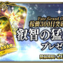 『FGO アーケード』稼働300日突破キャンペーン開催！QPや聖晶粒などアイテム3種をプレゼント