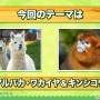 『けものフレンズ３』わくわくどきどき探検レポート #02まとめ！新フレンズ“アルパカ・ワカイヤ”などワクワクする最新情報が盛り沢山