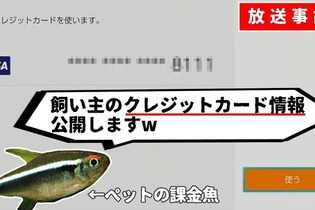 魚にクレカ情報開示された！『ポケモン』プレイ配信中のペットが勝手に…その後500円分を不正利用する暴れっぷり 画像