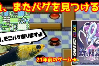 クレカ情報開示だけじゃない！？「ポケモンをプレイする魚」が巻き起こしたミラクルの数々！ 画像