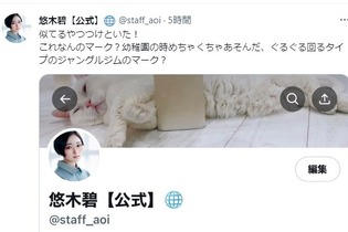 Twitterにはプロフィールに設定できない絵文字が存在する―青い公式マークや鍵アカウントを誤認させるものはNG 画像