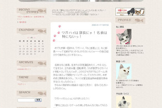 セガ、『夢ねこDS』のPR楽曲に「恋するしっぽ。」 画像